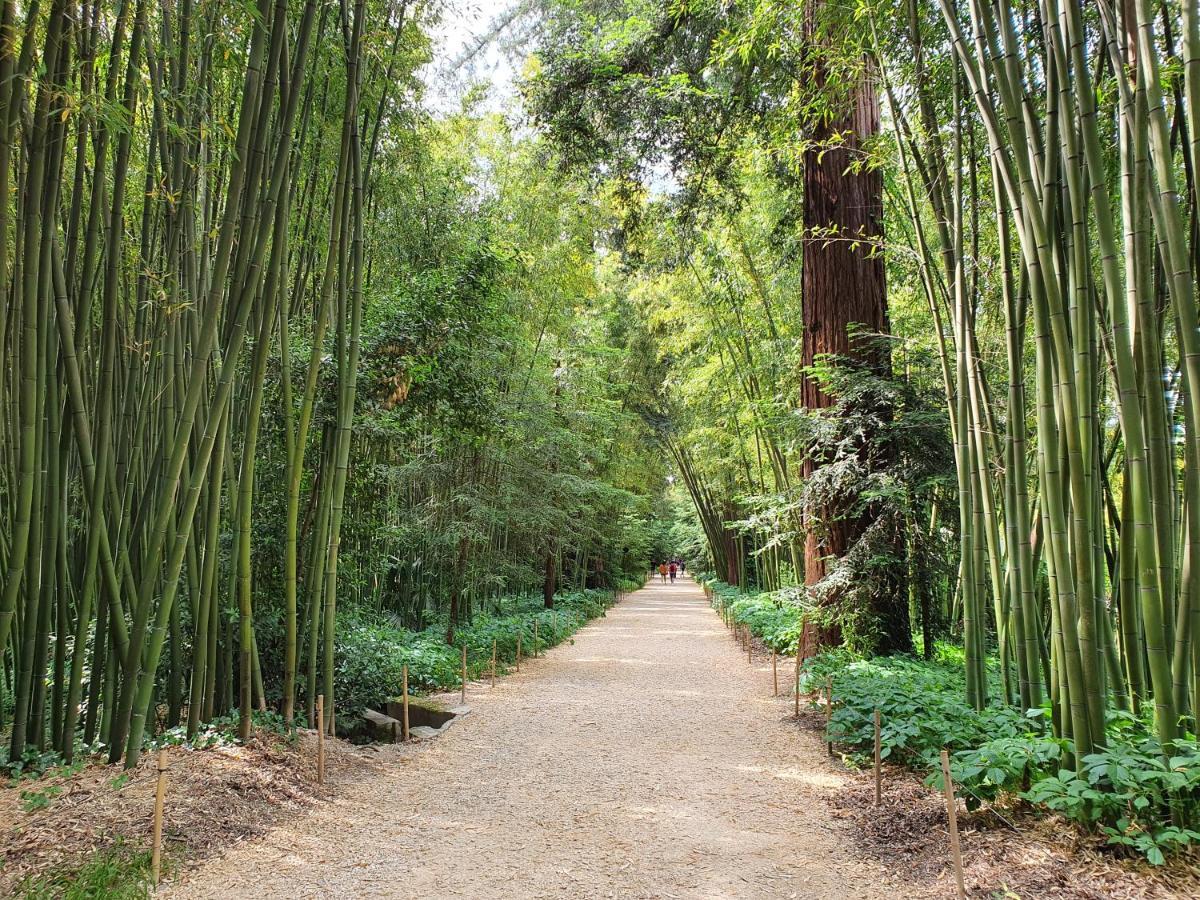 昂迪兹La Bastide Bleue别墅 外观 照片